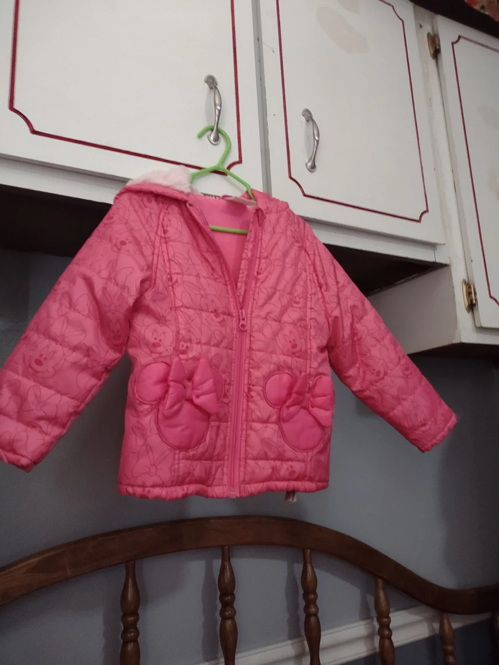 Disney Pink Minnie Hooded Jacket